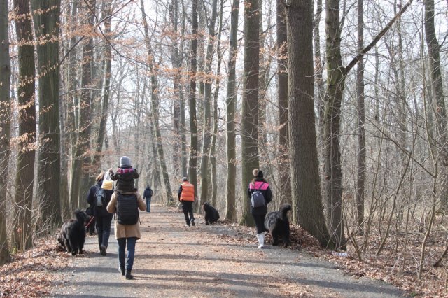 Předjarní procházka Mělníkem