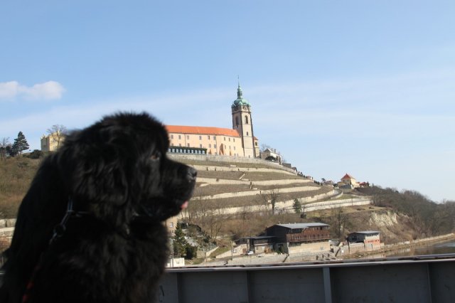 Předjarní procházka Mělníkem