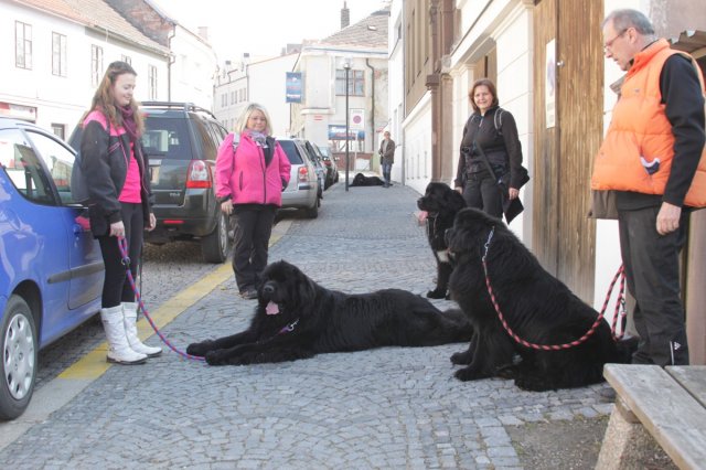Předjarní procházka Mělníkem