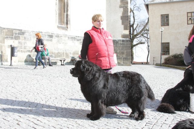 Předjarní procházka Mělníkem