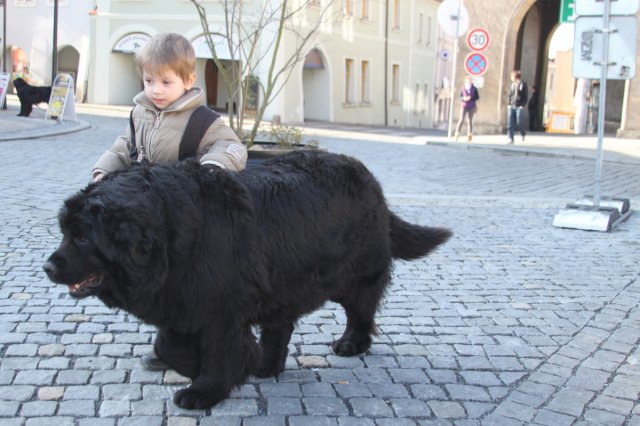 Předjarní procházka Mělníkem