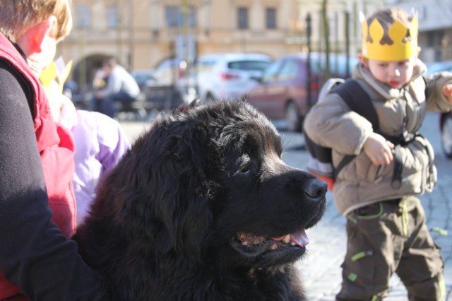 Předjarní procházka Mělníkem