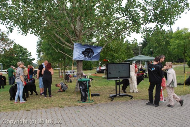 Džbán 2016 - Speciální výstava CAC 3.září 2016