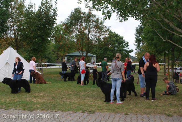 Džbán 2016 - Speciální výstava CAC 3.září 2016