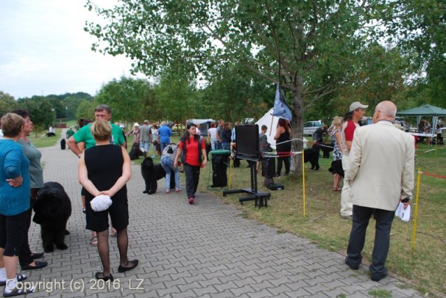 Džbán 2016 - Speciální výstava CAC 3.září 2016