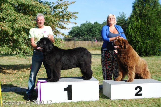 Džbán 2016 - Speciální výstava CAC 3.září 2016