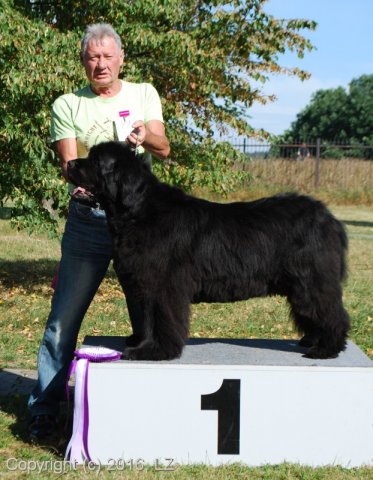 Džbán 2016 - Speciální výstava CAC 3.září 2016