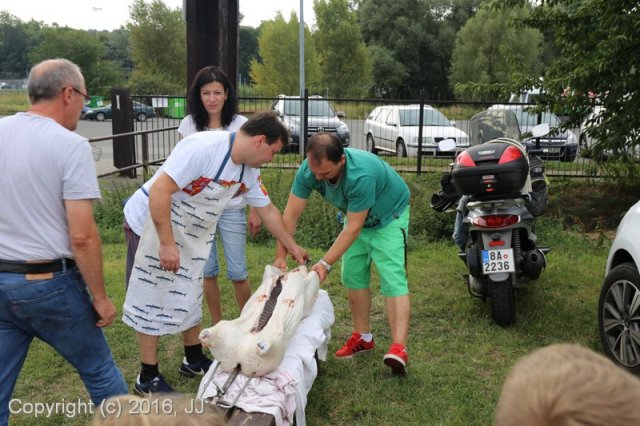 Džbán 2016 - Speciální výstava CAC 3.září 2016