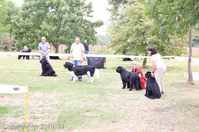 Džbán 2016 - Speciální výstava CAC 3.září 2016