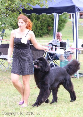 Džbán 2016 - Speciální výstava CAC 3.září 2016