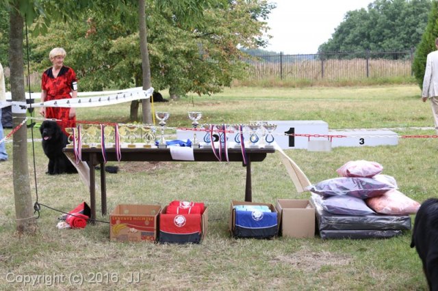 Džbán 2016 - Speciální výstava CAC 3.září 2016