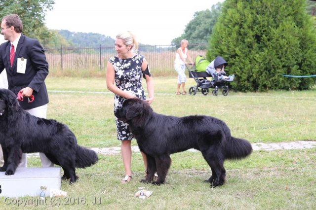 Džbán 2016 - Speciální výstava CAC 3.září 2016