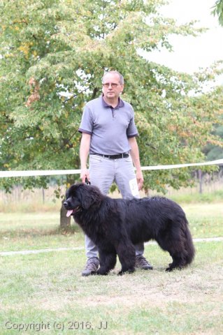 Džbán 2016 - Speciální výstava CAC 3.září 2016