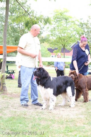 Džbán 2016 - Speciální výstava CAC 3.září 2016
