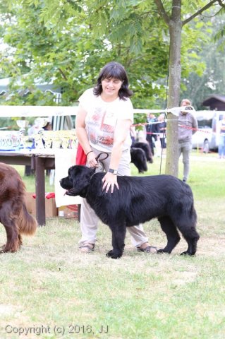 Džbán 2016 - Speciální výstava CAC 3.září 2016