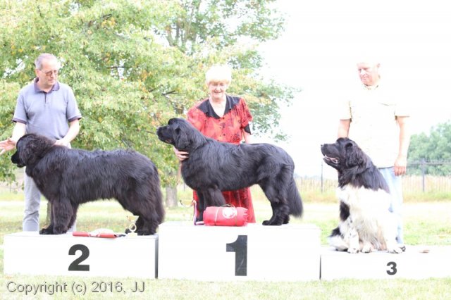 Džbán 2016 - Speciální výstava CAC 3.září 2016