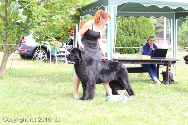 Džbán 2016 - Speciální výstava CAC 3.září 2016