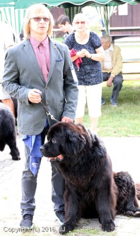 Džbán 2016 - Speciální výstava CAC 3.září 2016