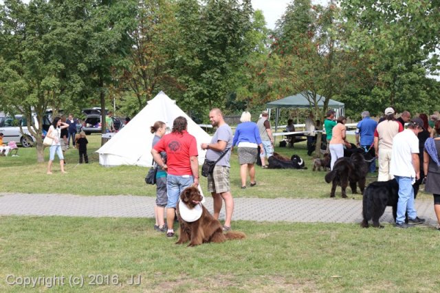 Džbán 2016 - Speciální výstava CAC 3.září 2016