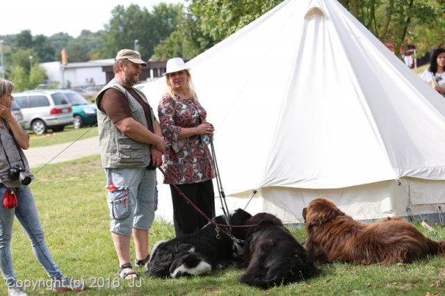 Džbán 2016 - Speciální výstava CAC 3.září 2016