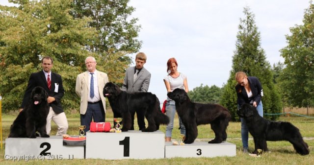 Džbán 2016 - Speciální výstava CAC 3.září 2016