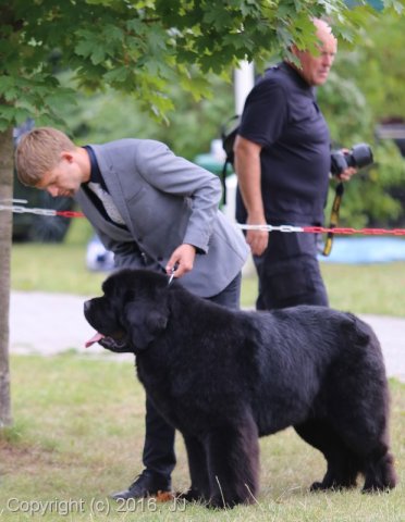 Džbán 2016 - Speciální výstava CAC 3.září 2016