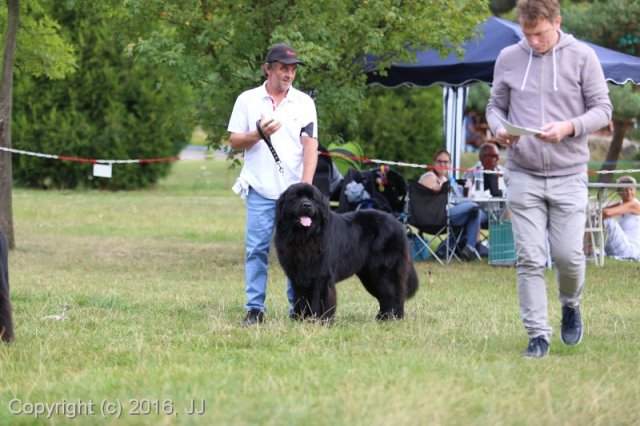 Džbán 2016 - Speciální výstava CAC 3.září 2016