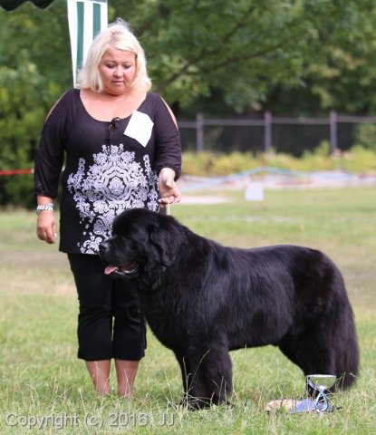 Džbán 2016 - Speciální výstava CAC 3.září 2016