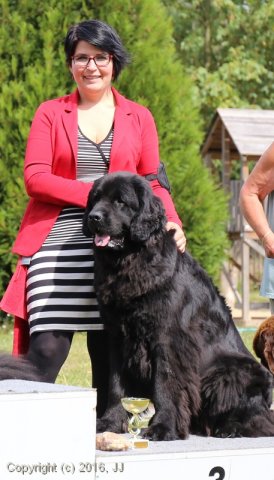 Džbán 2016 - Speciální výstava CAC 3.září 2016