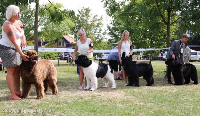 Džbán 2016 - Speciální výstava CAC 3.září 2016