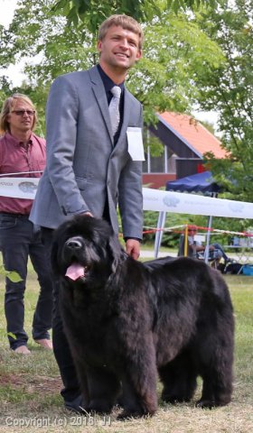 Džbán 2016 - Speciální výstava CAC 3.září 2016