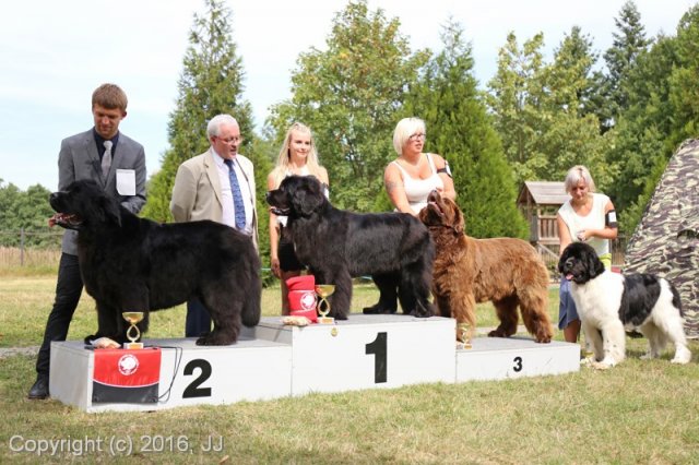 Džbán 2016 - Speciální výstava CAC 3.září 2016