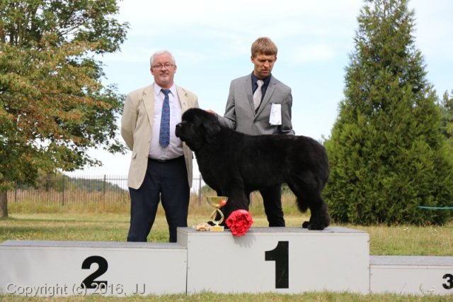 Džbán 2016 - Speciální výstava CAC 3.září 2016