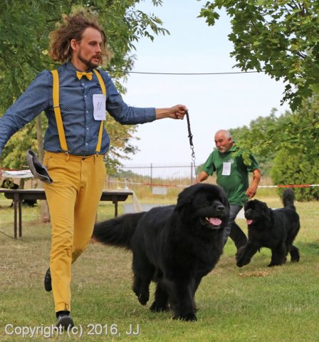 Džbán 2016 - Speciální výstava CAC 3.září 2016