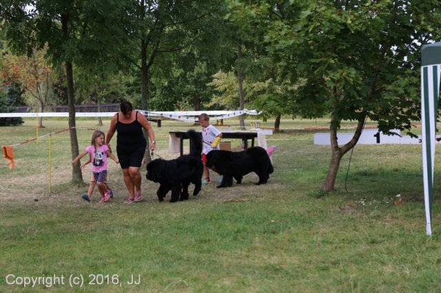 Džbán 2016 - Speciální výstava CAC 3.září 2016