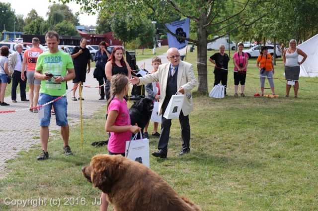 Džbán 2016 - Speciální výstava CAC 3.září 2016