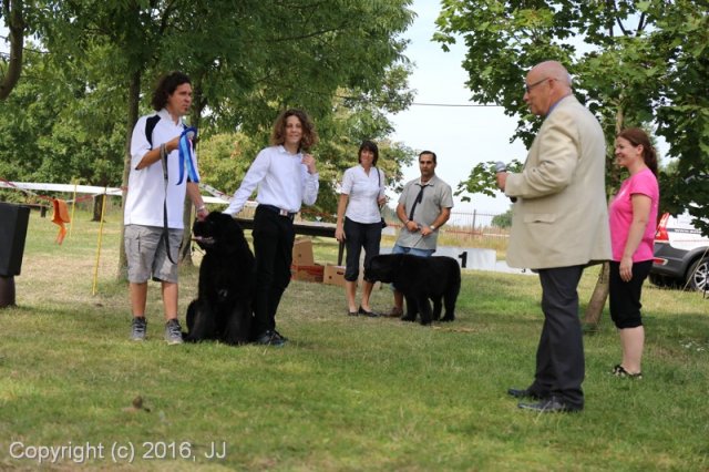 Džbán 2016 - Speciální výstava CAC 3.září 2016