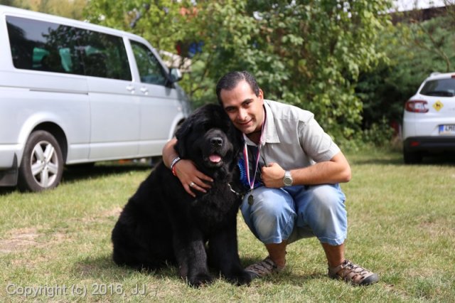 Džbán 2016 - Speciální výstava CAC 3.září 2016