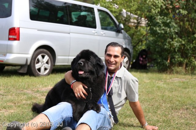 Džbán 2016 - Speciální výstava CAC 3.září 2016