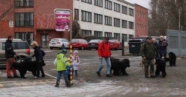 Předvánoční Prahou 2016