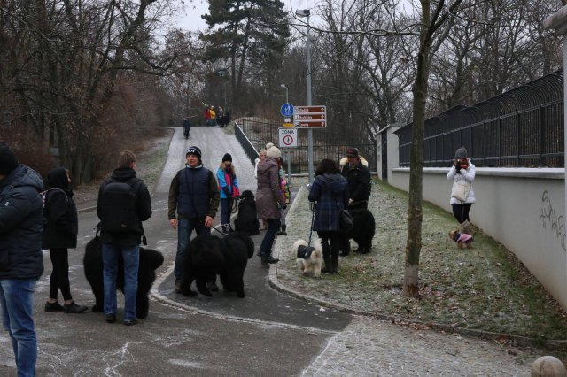 Předvánoční Prahou 2016