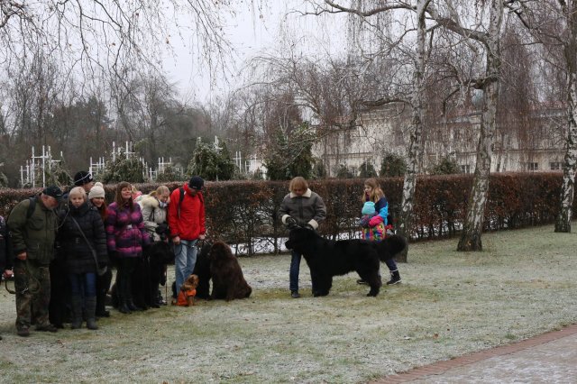 Předvánoční Prahou 2016