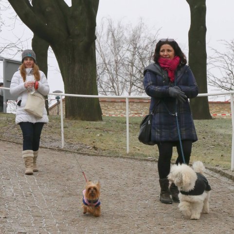 Předvánoční Prahou 2016