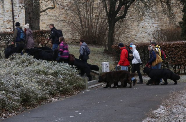 Předvánoční Prahou 2016