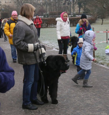 Předvánoční Prahou 2016