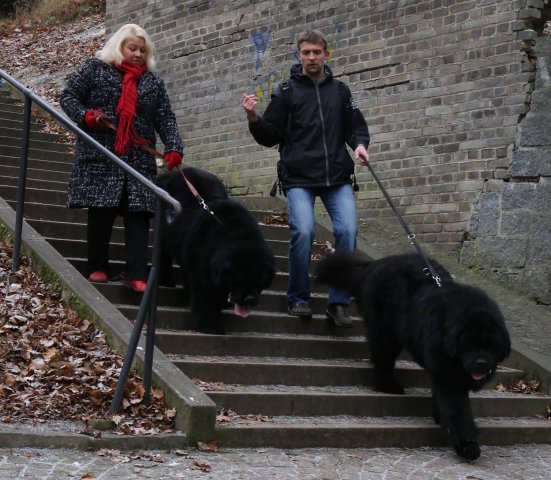 Předvánoční Prahou 2016