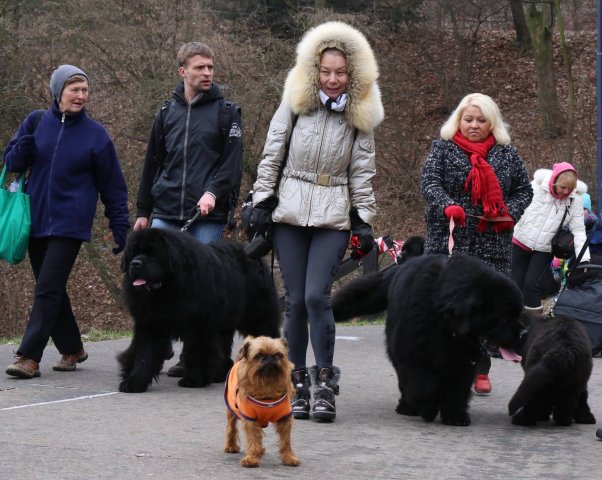 Předvánoční Prahou 2016