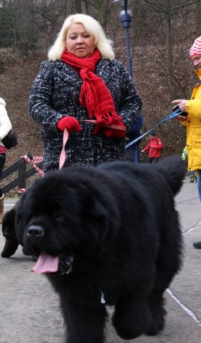 Předvánoční Prahou 2016