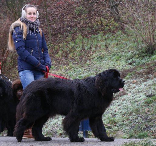 Předvánoční Prahou 2016