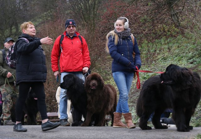 Předvánoční Prahou 2016